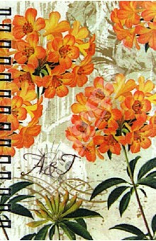 Телефонная книжка 72 листа, А6, в ассортименте (30173) Телефонная книжка 72 листа, А6, в ассортименте (30173)