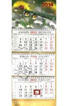 Календарь на 2014 год "После дождя". Квартальный (КМ-9) Календарь на 2014 год "После дождя". Квартальный (КМ-9)