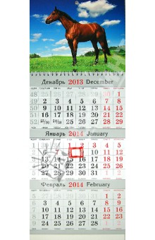 Квартальный календарь на 2014 год "Символ года". Малый (31392) Квартальный календарь на 2014 год "Символ года". Малый (31392)