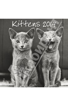 Календарь на 2014 год "Котята" (7-6207) Календарь на 2014 год "Котята" (7-6207)