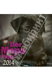 Календарь на 2014 год "Мопсы" (7-6570) Календарь на 2014 год "Мопсы" (7-6570)