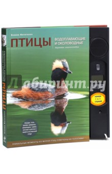 Птицы. Водоплавающие и околоводные. Звуковая энциклопедия (утка) - Ксения Митителло