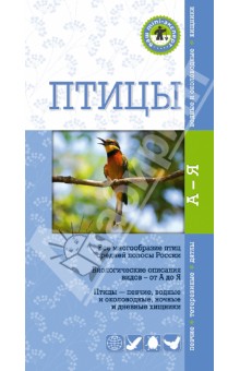 Ксения Митителло - Птицы. Краткий карманный определитель обложка книги Ксения Митителло - Птицы. Краткий карманный определитель обложка книги