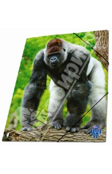 Папка на резинках "3D Safari". А4 (313148) Папка на резинках "3D Safari". А4 (313148)