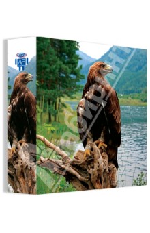 Папка-регистратор с арочным механизмом "3D Birds", дизайн №2 (313147) Папка-регистратор с арочным механизмом "3D Birds", дизайн №2 (313147)
