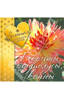 Георгины, гладиолусы, канны