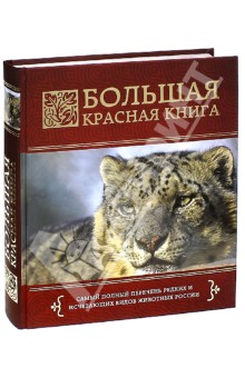 Оксана Скалдина — Большая красная книга обложка книги