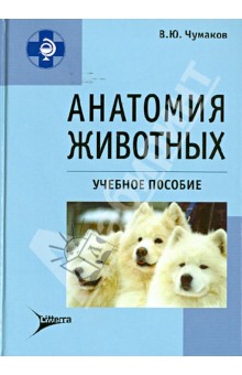 Анатомия животных: учебное пособие - В. Чумаков