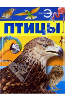 Анна Спектор - Птицы обложка книги Анна Спектор - Птицы обложка книги