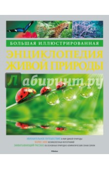 Дэвид Берни - Большая иллюстрированная энциклопедия живой природы обложка книги Дэвид Берни - Большая иллюстрированная энциклопедия живой природы обложка книги