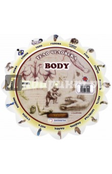Иллюстрированный тематический словарь Body (Тело человека)