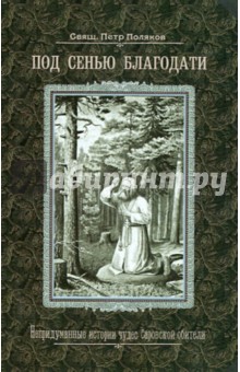 Под сенью благодати. Непридуманные истории чудес Саровской обители - Петр Священник