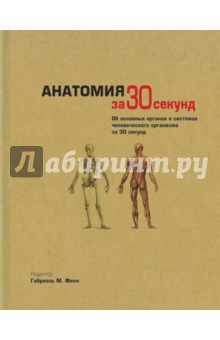 Анатомия - Финн, Барбаро-Браун, Бишоп