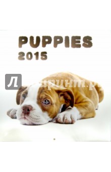 Календарь 2015 "Puppies" (2245) Календарь 2015 "Puppies" (2245)