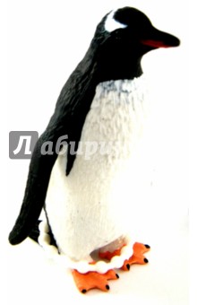 Пингвин Генту (Gentoo Penguin) (387184) Пингвин Генту (Gentoo Penguin) (387184)