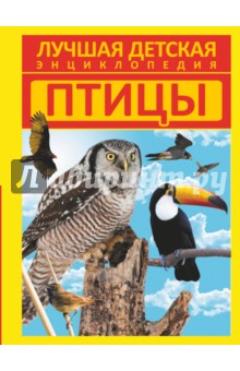 Птицы - Дмитрий Кошевар
