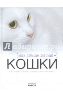 Наши любимые питомцы - кошки - Екатерина Шейкина