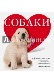 Евгения Гюнтер - Собаки обложка книги Евгения Гюнтер - Собаки обложка книги