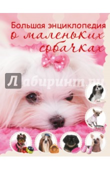 Большая энциклопедия о маленьких собачках - Любовь Вайткене