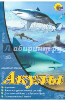 Наглядное пособие А4. Акулы