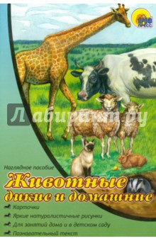 Наглядное пособие А4. Животные дикие и домашние обложка книги Наглядное пособие А4. Животные дикие и домашние обложка книги