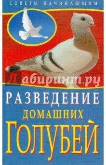 Каминская, Вальтер - Разведение домашних голубей обложка книги Каминская, Вальтер - Разведение домашних голубей обложка книги