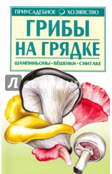 Грибы на грядке - Александр Морозов