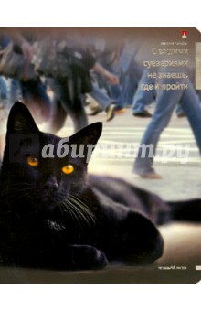 Тетрадь общая "Приколы. Кошки-2" (48 листов, клетка, в ассортименте) (7-48-1033) Тетрадь общая "Приколы. Кошки-2" (48 листов, клетка, в ассортименте) (7-48-1033)