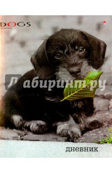 Дневник для старших классов ЩЕНКИ. КОНТРАСТЫ (10-009/03) Дневник для старших классов ЩЕНКИ. КОНТРАСТЫ (10-009/03)