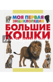 Анна Спектор - Большие кошки обложка книги Анна Спектор - Большие кошки обложка книги