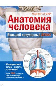 Анатомия человека. Большой популярный атлас - Билич, Лукашанец, Мазур, Никитинская