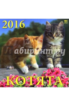 Календарь настенный на 2016 год "Котята" (70605) Календарь настенный на 2016 год "Котята" (70605)