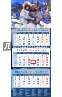 Календарь квартальный на 2016 год "Год обезьяны. Японские макаки на снегу" (14608) Календарь квартальный на 2016 год "Год обезьяны. Японские макаки на снегу" (14608)