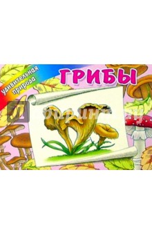 Грибы обложка книги Грибы обложка книги