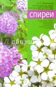 Лилиан Плотникова - Спиреи обложка книги Лилиан Плотникова - Спиреи обложка книги