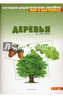 Деревья 7 лет Деревья 7 лет