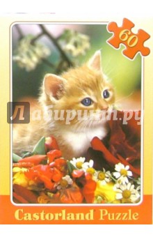 Puzzle-60.MIDI.В-06205.Котенок Puzzle-60.MIDI.В-06205.Котенок