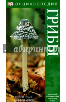 Грибы