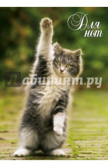 Нотная тетрадь "Котенок" Нотная тетрадь "Котенок"