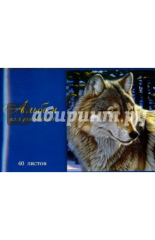 Альбом для рисования "ВОЛК", 40 листов (40676-5) Альбом для рисования "ВОЛК", 40 листов (40676-5)