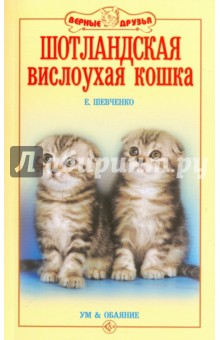 Шотландская вислоухая кошка. Ум и обаяние - Елена Шевченко Шотландская вислоухая кошка. Ум и обаяние - Елена Шевченко