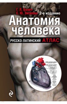 Анатомия человека. Русско-латинский атлас - Билич, Зигалова