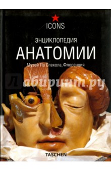 Энциклопедия анатомии. Музей Ла Спекола, Флоренция - Фон, Поггеси