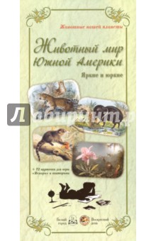 Животный мир Южной Америки. Яркие и юркие + 72 карточки для игры