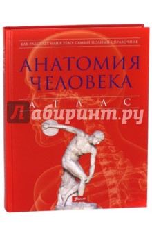 Анатомия человека. Атлас - Питер Абрахамс