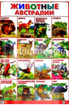Плакат Животные Австралии (550х770)
