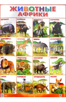 Плакат Животные Африки (550х770)
