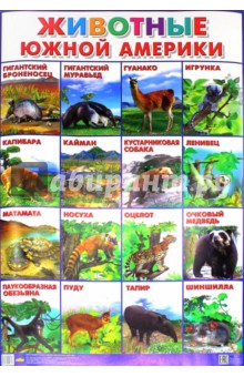 Плакат Животные Южной Америки (550х770)