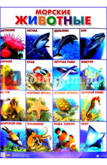 Плакат Морские животные (555х774)