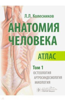 Анатомия человека. Атлас в 3-х томах. Том 1. Остеология, артросиндесмология, миология - Лев Колесников